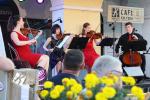 Violincelli Quartet w ramach Cafe Kultura